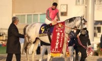【アンタレスS想定】東京大賞典4連覇オメガパフューム、3連勝中バーデンヴァイラーなど