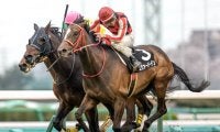 【次走】前走でOP入りのエヴァーガーデンは福島牝馬Sへの参戦を視野