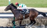 【アンタレスS想定】GI馬オメガパフュームは横山和生騎手と新コンビ、3連勝中バーデンヴァイラーは幸英明騎手