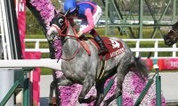 【阪神牝馬S結果】9番人気メイショウミモザが内から抜け出て重賞初出走V