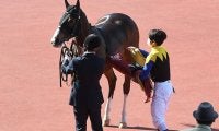 【阪神牝馬S】競走除外のアカイトリノムスメは右後肢跛行
