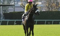 【JRA】サークルオブライフ国枝師「オークスに繋がる競馬はできた」在厩調整で巻き返しへ