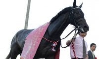 ダートグレード競走5勝のグリムがJRA登録抹消、地方競馬に移籍予定