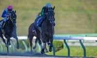 グリムが競走馬登録抹消