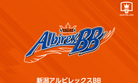 新潟アルビレックスBB、13日時点で計19名が陽性判定…全員が無症状か軽症で自宅療養中