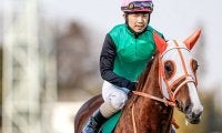 【福島牝馬S想定】中山牝馬S覇者クリノプレミアム、愛知杯覇者ルビーカサブランカなど15頭