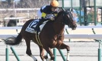 【アーリントンカップC予想】出世レースは形を変え3歳マイル王へのステップに