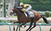 【中山4R】武豊 キングズパレスが豪快な差し切り