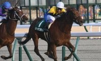 【福島牝馬S想定騎手】ルビーカサブランカは武豊騎手、アナザーリリックは津村明秀騎手
