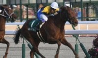 【福島牝馬S予想オッズ】ルビーカサブランカが予想1番人気