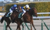 【福島牝馬S枠順確定】ルビーカサブランカは8枠15番、アブレイズは6枠12番
