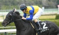 【マイラーズC予想】実力馬有利だが馬場状態にも注意を払いたい…安田記念への前哨戦