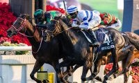 香港競馬が賞金増額　香港Cの総賞金は5.5億円、国際競走4レースの総賞金額は18億円に