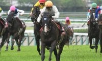好調期の勢いに注目の配合　クラスの壁を突破し4連勝で重賞制覇