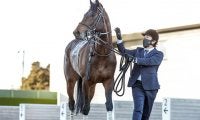 【新潟大賞典想定】中山金杯覇者レッドガラン、連勝中アルサトワ、GI・2着馬ステラリアなど16頭