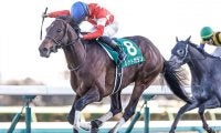 【新潟大賞典想定騎手】ステラリアは川須栄彦騎手、レッドガランは岩田康誠騎手