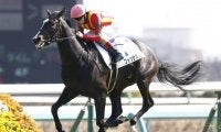 【新潟4R・障害未勝利】フォッサマグナが“5秒1”差の圧勝劇　藤沢和雄厩舎からの転厩初戦