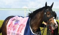 【先週のJRA抹消馬】秋華賞馬アカイトリノムスメ、マイルCSステルヴィオ、チャレンジC覇者ロードマイウェイなど