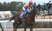 【今日の注目ポイント】中京メイン・平安Sでテーオーケインズが始動