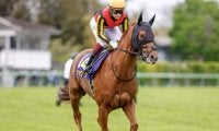 全ホースマンが目指す舞台・日本ダービー/今週の競馬界の見どころ