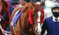 【先週のJRA抹消馬】砂の古豪ウェスタールンド、仏二冠牝馬の娘デゼル、GI馬の半妹グランパラディーゾなど