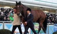 【海外競馬】豪G1・3連勝のヒトツが左前脚繋靭帯損傷により年内全休　父は2015年JRA年度代表馬モーリス