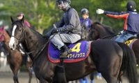日本ダービーでは人馬の信頼関係が不可欠。愛馬ととも成長してきた若武者の一発に期待