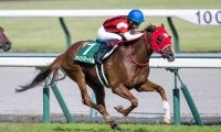 【葵S】松山「馬が強かった」ウインマーベルが重賞初V