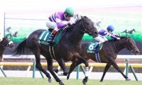 【安田記念】出走馬の調教後の馬体重