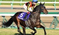 【鳴尾記念枠順確定】カイザーバローズは7枠8番、ヴェルトライゼンデは2枠2番