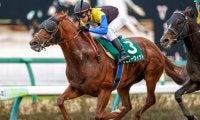【JRA】レピアーウィットが競走馬登録抹消、今後は乗馬に 2021年マーチS覇者