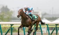 【先週のJRA抹消馬】ラジオNIKKEI賞覇者ヴァイスメテオール、オーシャンS覇者キングハートなど