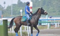 母は米2歳牝馬チャンピオン 3億円馬ダノンザタイガーがデビュー/関東馬メイクデビュー情報