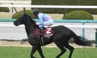 【函館スプリントS出走馬・騎手確定】ナムラクレア＆浜中俊騎手、ビアンフェ＆藤岡佑介騎手など16頭