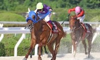 【園田・兵庫ダービー結果】バウチェイサーが4馬身差突き抜けダービー戴冠