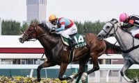 函館スプリントＳはコースと縁深い「超スピード馬」が逃げきるか。名スプリンターの産駒も連対の可能性大