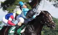 ローズプリンスダムが競走馬登録抹消