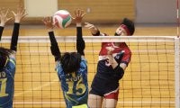 予選22連覇中の京都橘高が失セット0で準決勝へ【インターハイ2022京都府予選（女子）】