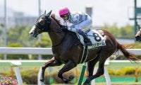【函館5R新馬戦結果】クリダームが押し切りインゼルレーシング初陣V