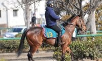 ビターグラッセが福永祐一騎手でデビュー 近親に活躍馬多数/関東馬メイクデビュー情報