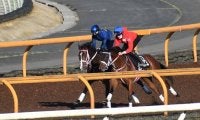 姉はデビュー戦レコード勝ち、兄は4億円馬 注目の血統馬ピヌスアモリス/関西馬メイクデビュー情報