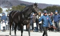 ヴィットリオドーロ産駒がJRA初勝利 函館6Rでオマツリオトコが5馬身差V