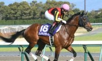 その他競技のニュース一覧 (716ページ目) | スポーツブル (スポブル)