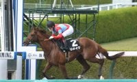 今村聖奈記念馬券セット　フェステスバント その他競技のニュース一覧 (716ページ目) | スポーツブル (スポブル)