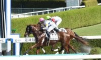 今村聖奈記念馬券セット　フェステスバント その他競技のニュース一覧 (716ページ目) | スポーツブル (スポブル)