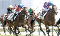その他競技のニュース一覧 (716ページ目) | スポーツブル (スポブル)