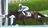 今村聖奈記念馬券セット　フェステスバント その他競技のニュース一覧 (716ページ目) | スポーツブル (スポブル)
