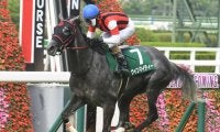今村聖奈記念馬券セット　フェステスバント その他競技のニュース一覧 (716ページ目) | スポーツブル (スポブル)