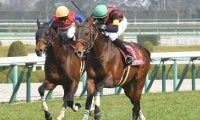 【東京ジャンプS想定騎手】エイシンクリックは西谷誠騎手、ケイティクレバーは五十嵐雄祐騎手