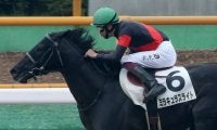 【函館4R】横山武「馬の能力で勝てた」ミラキュラスライトが初勝利